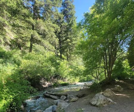 Intake Campground