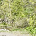 Boy Scout Campground