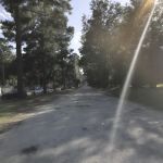 Azalea Court