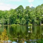 Bear Branch RV Park & Wildlife