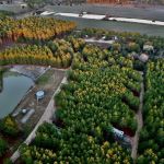 Camp South RV Park