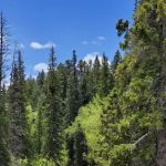 Willow Park Group Campground