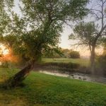 Buffalo KOA Journey