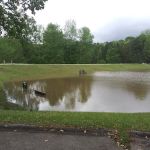 Pine Lake Community