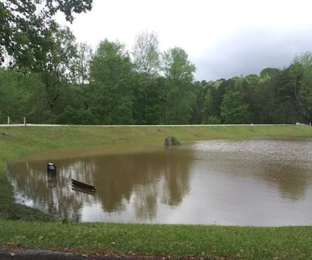 Pine Lake Community