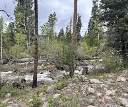 Yellow Pine Campground