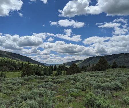 Lower Provo River Campground