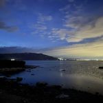 Bird Island