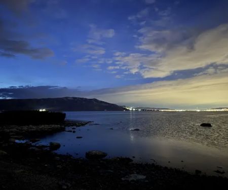 Bird Island