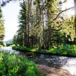 Go Camp Utah