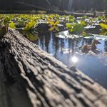 Soapstone Basin Camping
