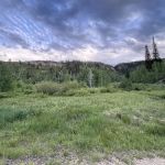 Camp Bertha Stone Reeder