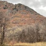 Rock Canyon Campground