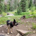 Trial Lake Campground