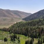 Currant Creek Campground Loop D