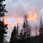 Moosehorn Campground