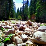 Aspen Campground
