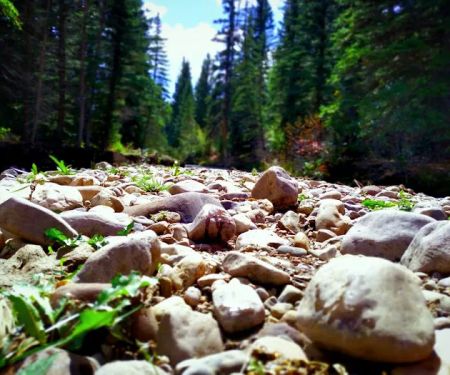 Aspen Campground