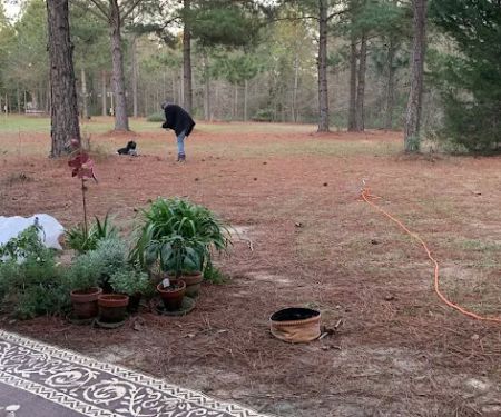 Shady Pines RV Park