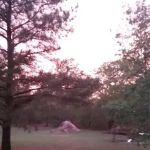 Trailer Park