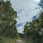 Wolverine ATV Trailhead Campground
