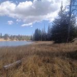 Little Lyman Lake Campground