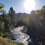 Bridge Campground