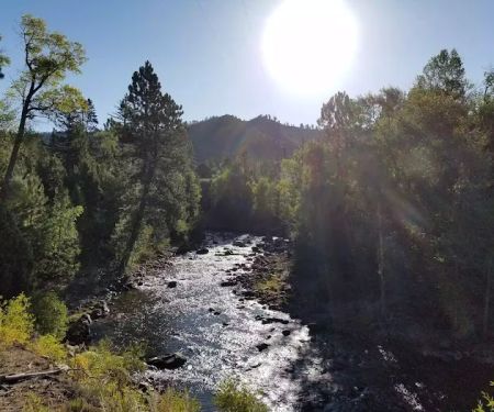 Bridge Campground