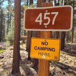 Wandin Campground