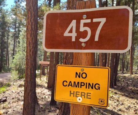Wandin Campground