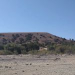 Juniper Point Campground