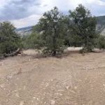 Wilderness Camp