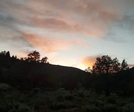 ORANGE OLSEN