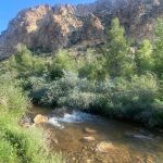 Willows Campground