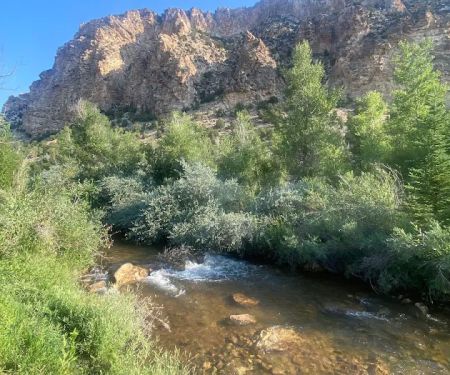 Willows Campground