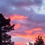 Skull Creek Campground