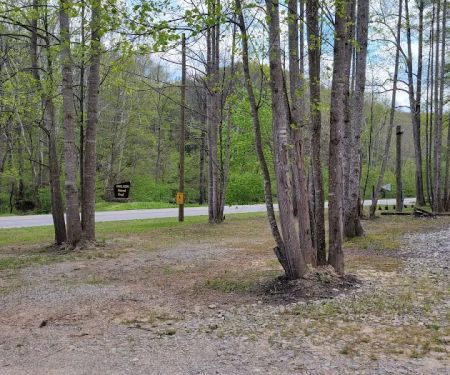 Sheltowee Trace RV Sites