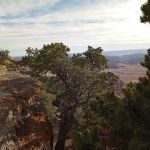 Cedar Mountain Campground