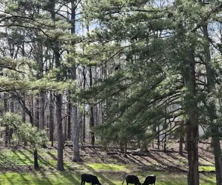 Jones Farm RV Park