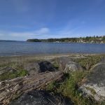 Swantown Marina