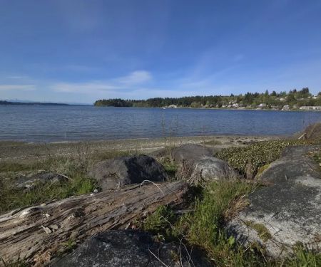 Swantown Marina