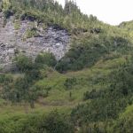 Honeymoon Meadows