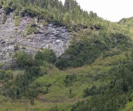 Honeymoon Meadows