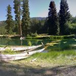 Longmire Meadow