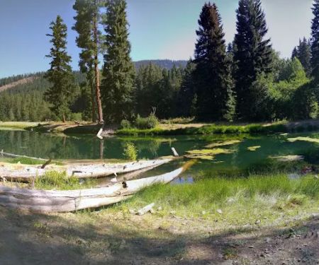 Longmire Meadow