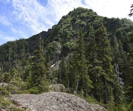 Moonshine Flats
