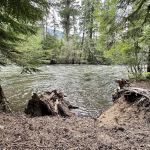 Adams Fork Campground