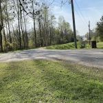 Twin Pines