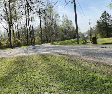 Twin Pines