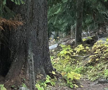 Fireweed Campground